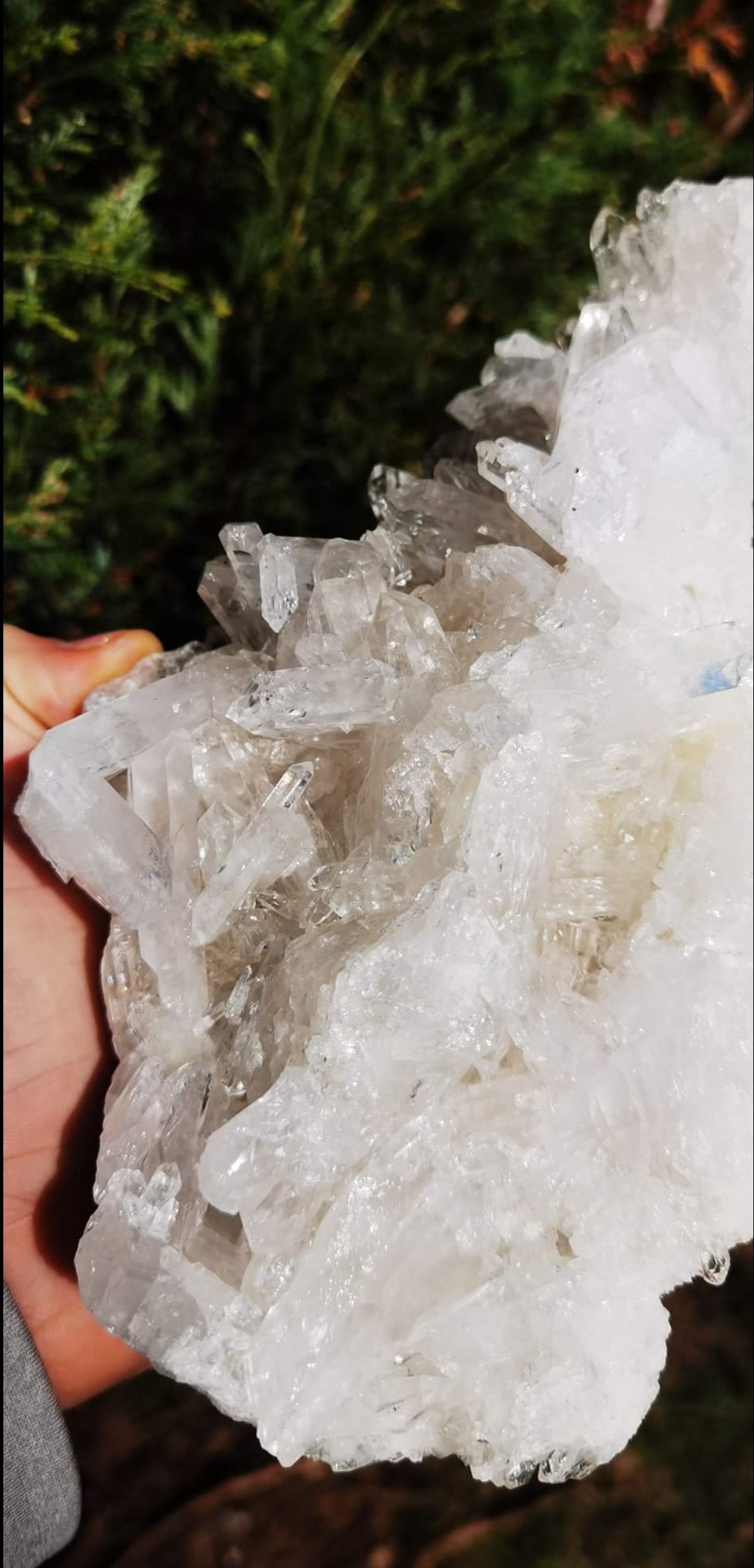 Amas de Cristal de Roche Alpin